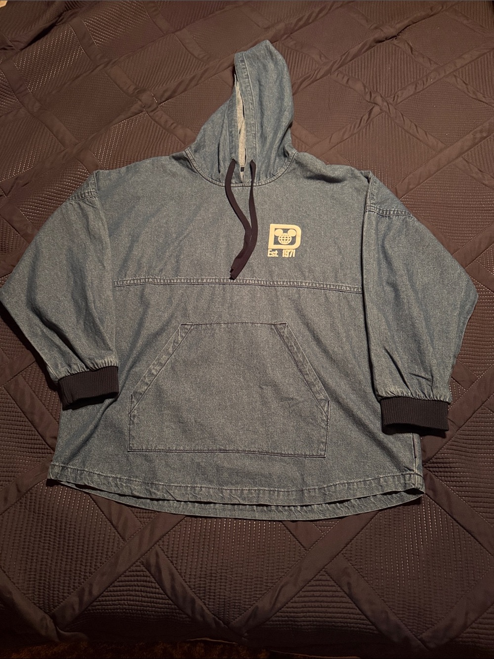 Walt Disney Parks Spirit Jersey Pullover NEW WITH TAG